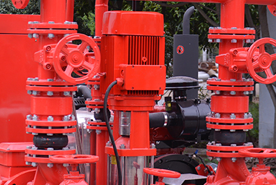 Jockey pump